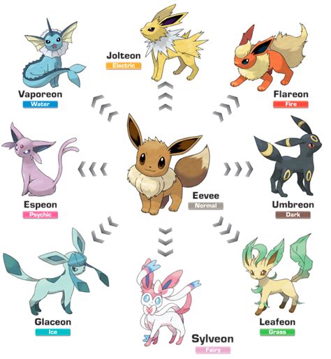 pokemon eevee evolution.